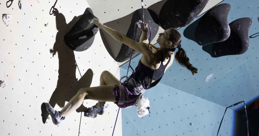 Salles d'escalade Climb Up 